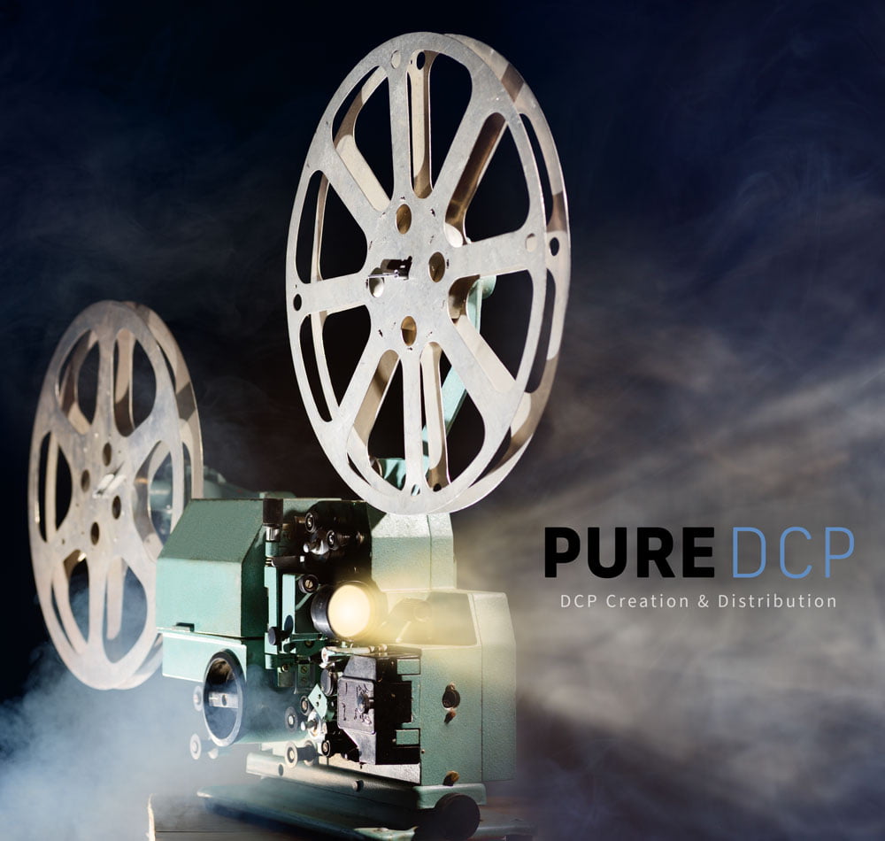 Contact Us - PureDCP